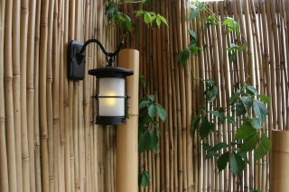 Tyč bambusová 240cm 18-20mm